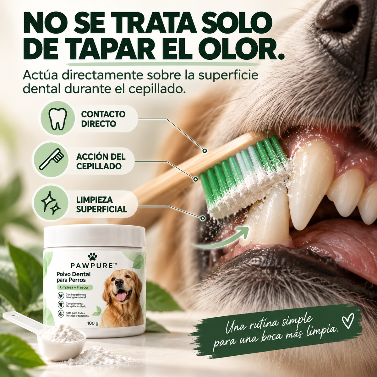 2 x PawPure™ Polvo Dental para Perros
