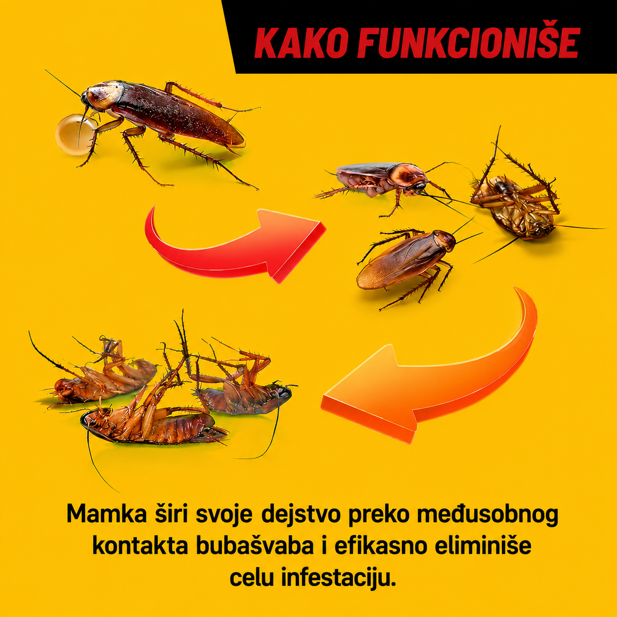Roach Doctor™ - Gel protiv bubašvaba